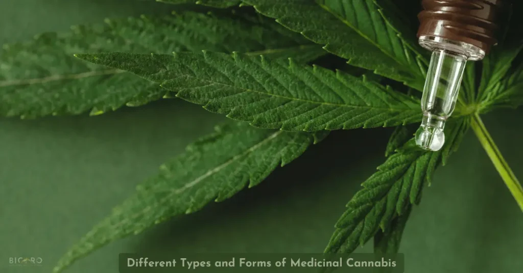 Different Types and Forms of Medicinal Cannabis: What You Need to Know