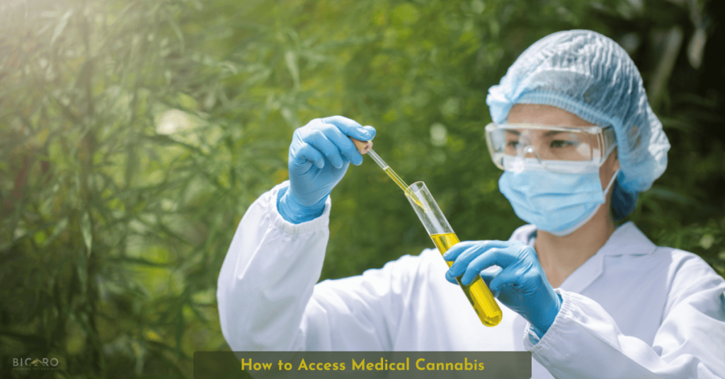 How to Access Medical Cannabis: A Comprehensive Guide